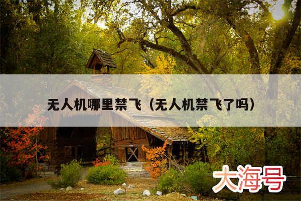 无人机哪里禁飞（无人机禁飞了吗）
