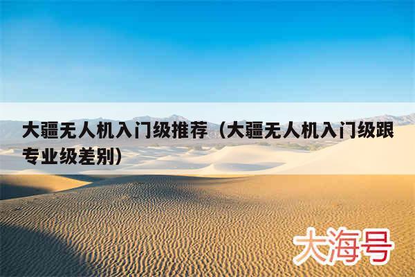 大疆无人机入门级推荐（大疆无人机入门级跟专业级差别）