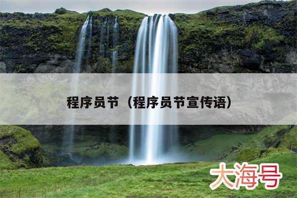 程序员节（程序员节宣传语）
