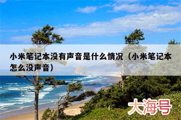 小米笔记本没有声音是什么情况（小米笔记本怎么没声音）