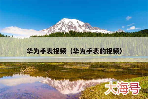 华为手表视频（华为手表的视频）