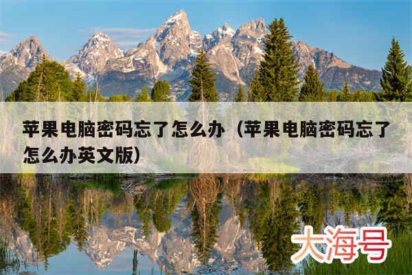 苹果电脑密码忘了怎么办（苹果电脑密码忘了怎么办英文版）