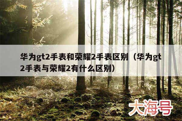华为gt2手表和荣耀2手表区别（华为gt2手表与荣耀2有什么区别）