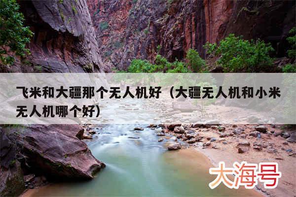 飞米和大疆那个无人机好（大疆无人机和小米无人机哪个好）