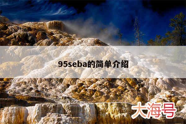 95seba的简单介绍