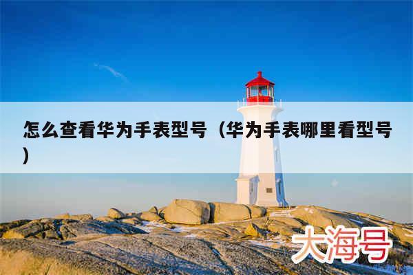 怎么查看华为手表型号（华为手表哪里看型号）