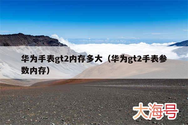 华为手表gt2内存多大（华为gt2手表参数内存）
