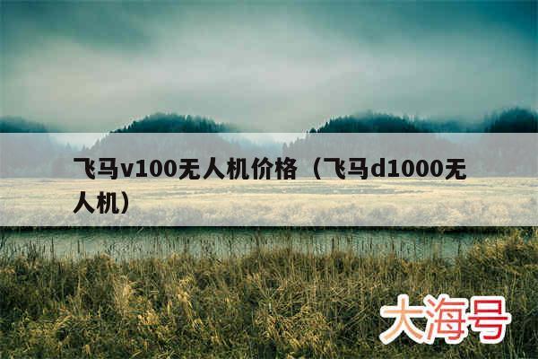 飞马v100无人机价格（飞马d1000无人机）