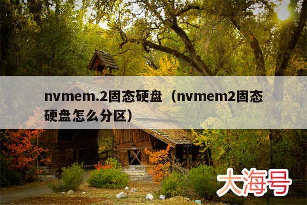 nvmem.2固态硬盘（nvmem2固态硬盘怎么分区）