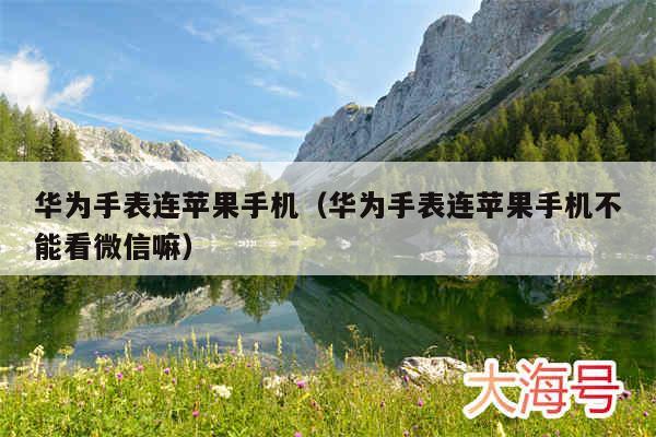 华为手表连苹果手机（华为手表连苹果手机不能看微信嘛）