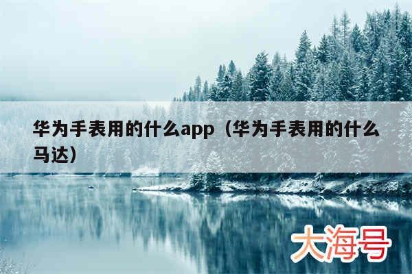 华为手表用的什么app（华为手表用的什么马达）