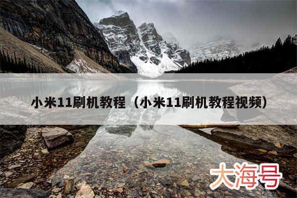 小米11刷机教程（小米11刷机教程视频）