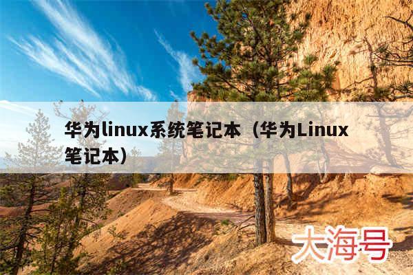 华为linux系统笔记本（华为Linux笔记本）