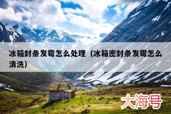 冰箱封条发霉怎么处理（冰箱密封条发霉怎么清洗）