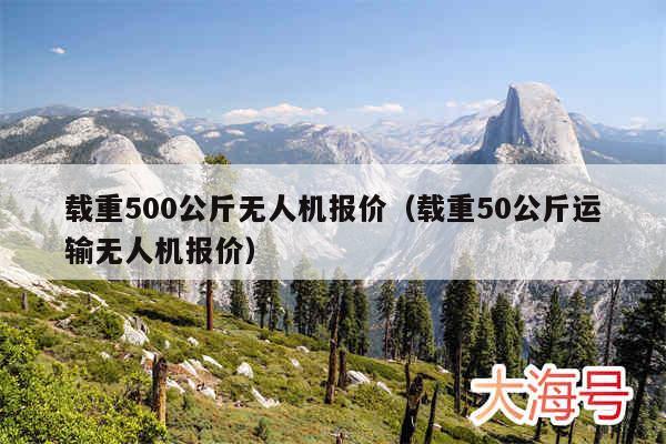 载重500公斤无人机报价（载重50公斤运输无人机报价）