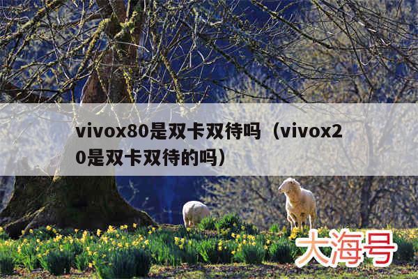 vivox80是双卡双待吗（vivox20是双卡双待的吗）