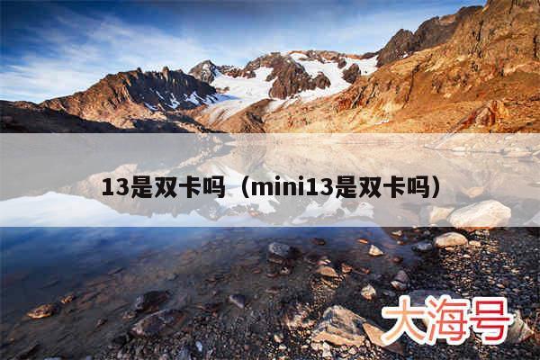 13是双卡吗（mini13是双卡吗）