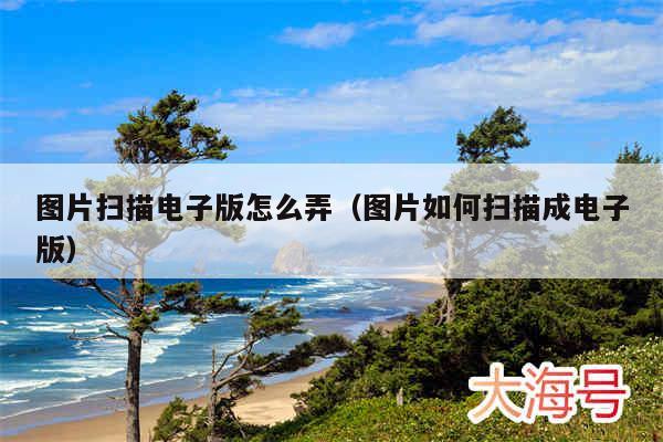 图片扫描电子版怎么弄（图片如何扫描成电子版）