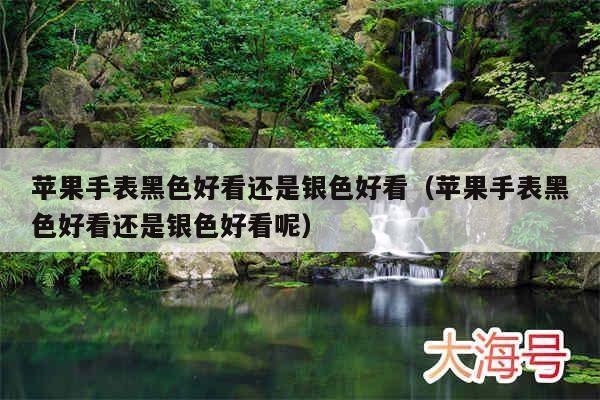 苹果手表黑色好看还是银色好看（苹果手表黑色好看还是银色好看呢）