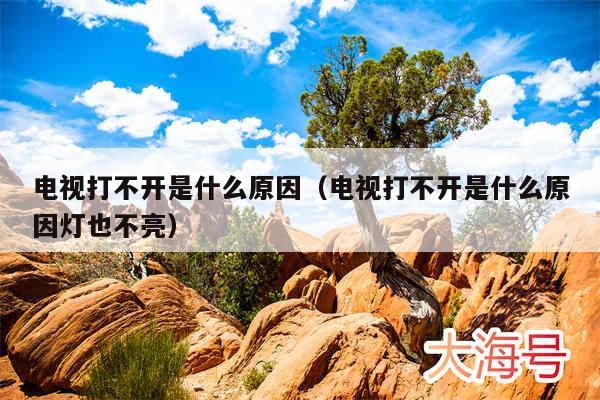 电视打不开是什么原因（电视打不开是什么原因灯也不亮）