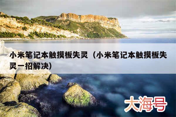 小米笔记本触摸板失灵（小米笔记本触摸板失灵一招解决）