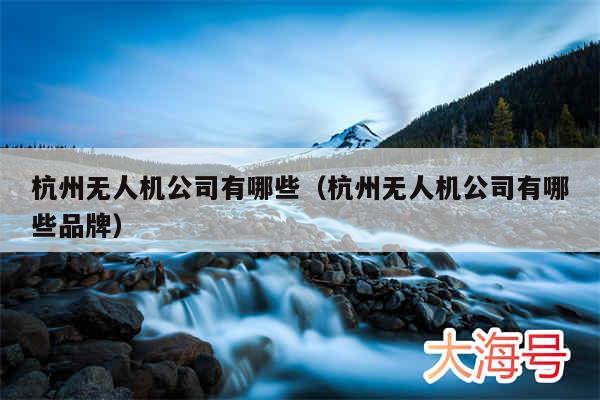 杭州无人机公司有哪些（杭州无人机公司有哪些品牌）