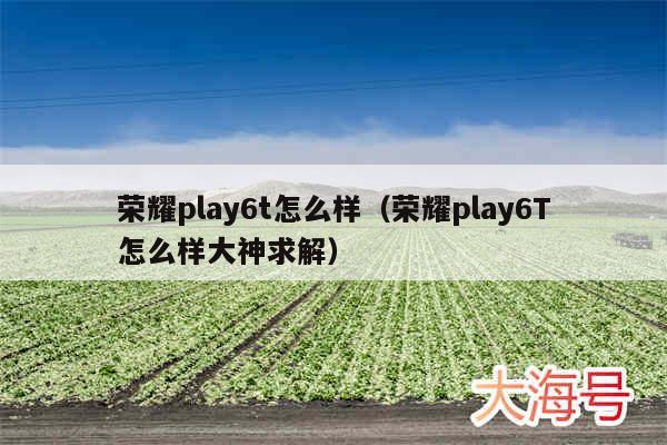 荣耀play6t怎么样（荣耀play6T怎么样大神求解）