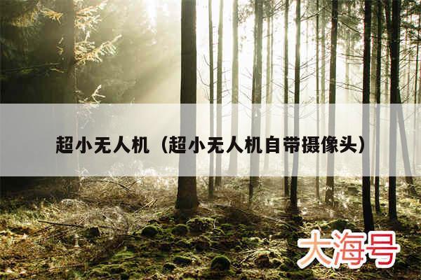 超小无人机（超小无人机自带摄像头）