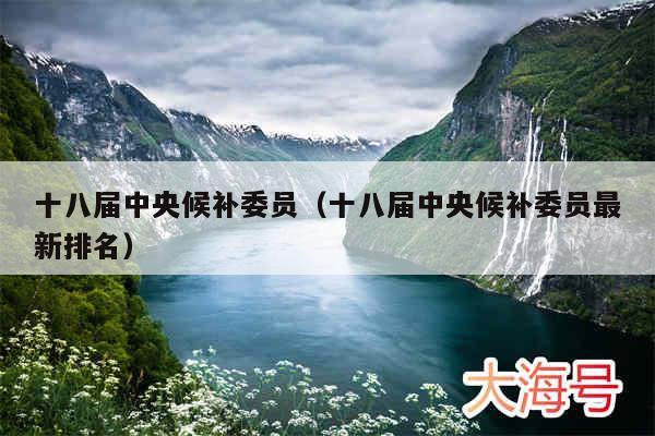 十八届中央候补委员（十八届中央候补委员最新排名）