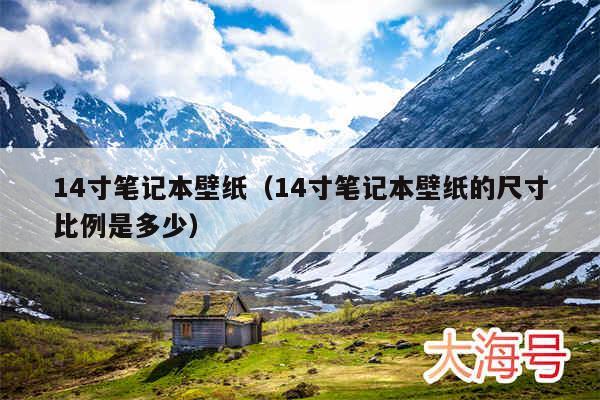 14寸笔记本壁纸（14寸笔记本壁纸的尺寸比例是多少）