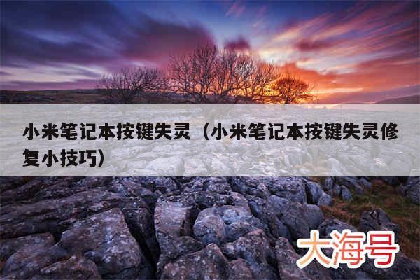 小米笔记本按键失灵（小米笔记本按键失灵修复小技巧）