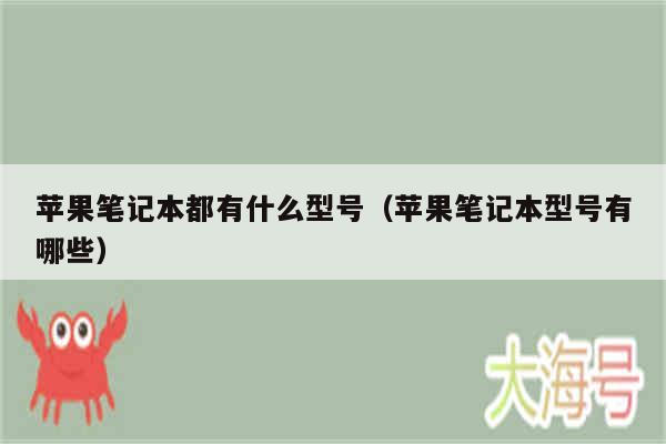 苹果笔记本都有什么型号（苹果笔记本型号有哪些）
