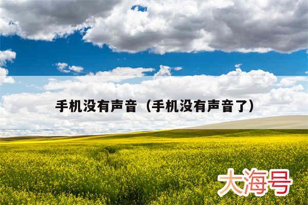 手机没有声音（手机没有声音了）