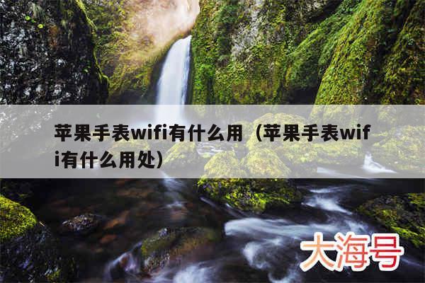 苹果手表wifi有什么用（苹果手表wifi有什么用处）