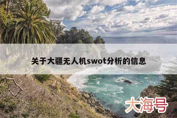 关于大疆无人机swot分析的信息
