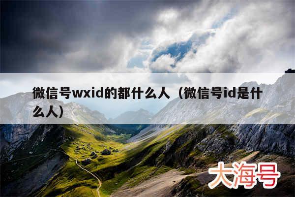 微信号wxid的都什么人（微信号id是什么人）