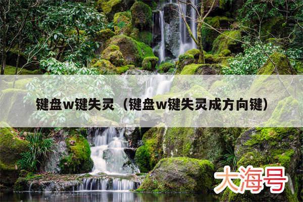 键盘w键失灵（键盘w键失灵成方向键）