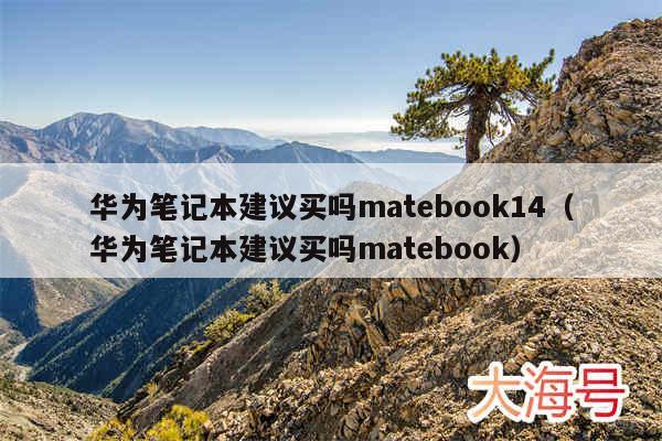 华为笔记本建议买吗matebook14（华为笔记本建议买吗matebook）