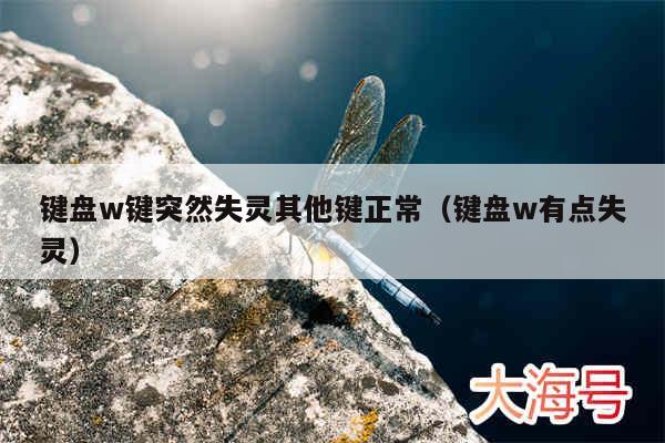 键盘w键突然失灵其他键正常（键盘w有点失灵）