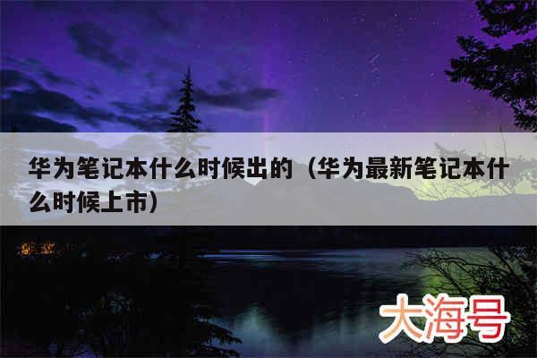 华为笔记本什么时候出的（华为最新笔记本什么时候上市）
