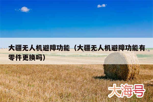 大疆无人机避障功能（大疆无人机避障功能有零件更换吗）