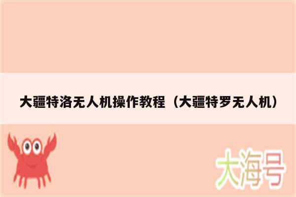 大疆特洛无人机操作教程（大疆特罗无人机）