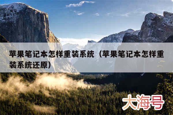 苹果笔记本怎样重装系统（苹果笔记本怎样重装系统还原）