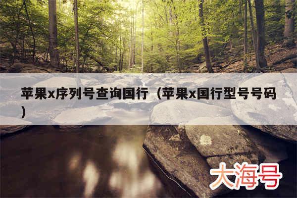 苹果x序列号查询国行（苹果x国行型号号码）