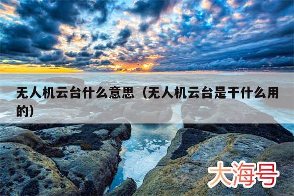 无人机云台什么意思（无人机云台是干什么用的）