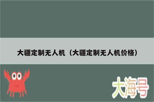 大疆定制无人机（大疆定制无人机价格）