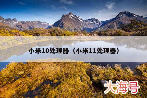 小米10处理器（小米11处理器）