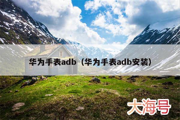 华为手表adb（华为手表adb安装）