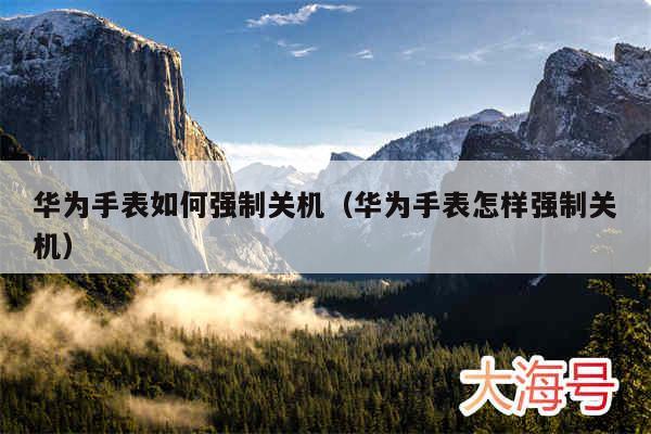 华为手表如何强制关机（华为手表怎样强制关机）
