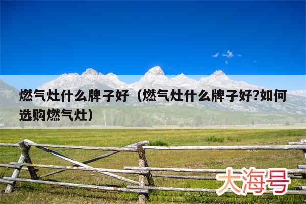 燃气灶什么牌子好（燃气灶什么牌子好?如何选购燃气灶）